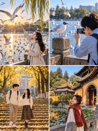 Kunming di Akhir Oktober Keren Banget! 3H2M Cuma 900 Yuan, Bisa Lihat Burung Camar dan Ginkgo.