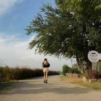 แคมปิ้ง&คาเฟ่ นครปฐม