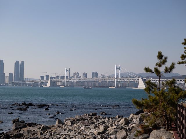 부산 산책하기 좋은 동백섬, 데이트 코스로 좋아