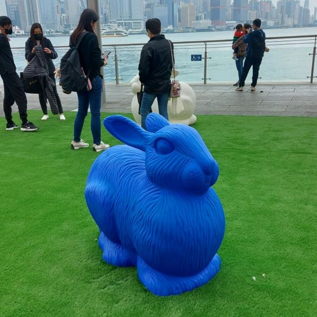 海港城兔年裝飾