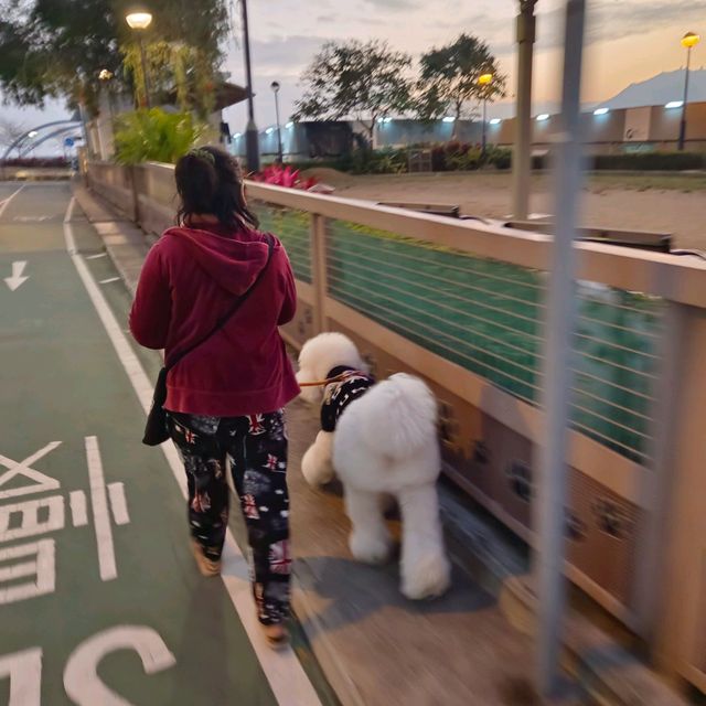 乘著夕陽，很多人在將軍澳海濱長廊，享受美好的時光！
