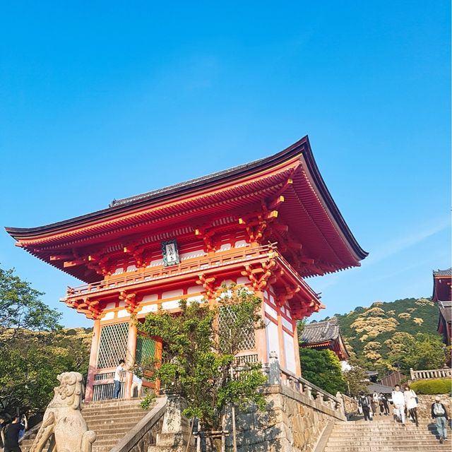일본 여행의 필수 코스인 청수사(기요미즈데라)