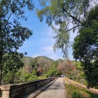 深井行山｜新年觀賞吊鐘花｜欣賞青馬大橋景色 