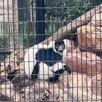 香港動植物園-給自己最美的大自然的饗宴