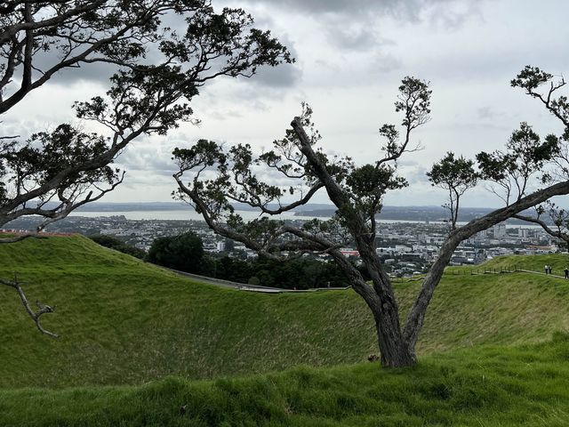 紐西蘭奧克蘭最高火山｜Mount Eden伊甸山，眺望奧克蘭市景最佳地點