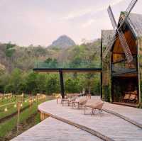 Chan nature cafe’