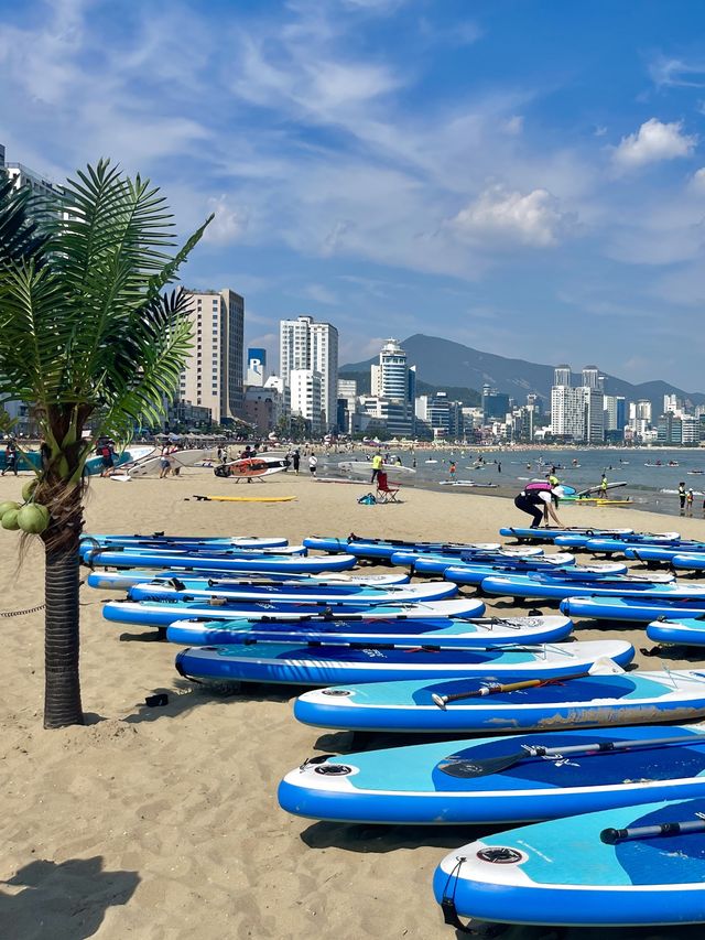 광안리 해수욕장 패들보드 하면서 즐기자 💙🏝