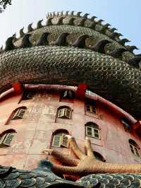 Wat Samphran - incredible building 🐉