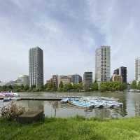 東京賞櫻熱點 - 上野公園