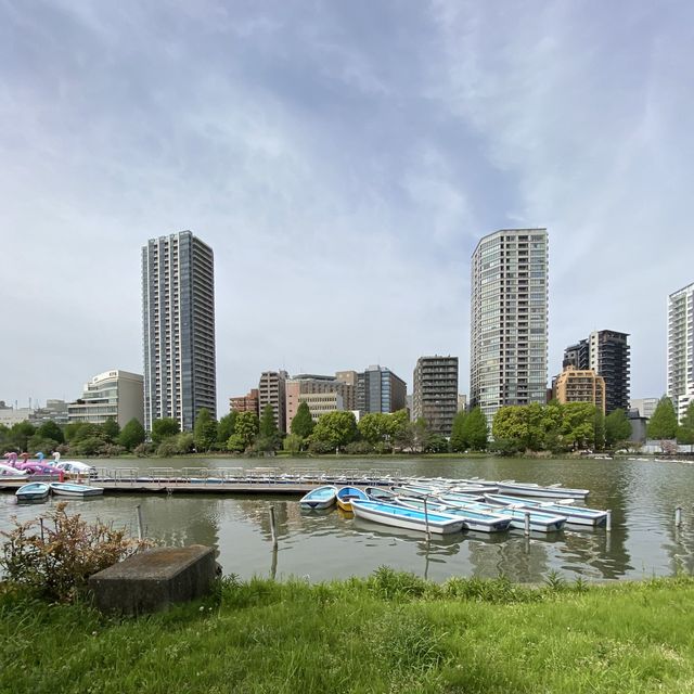 東京賞櫻熱點 - 上野公園