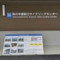 福岡親子遊8️⃣ - 海之中道海濱公園