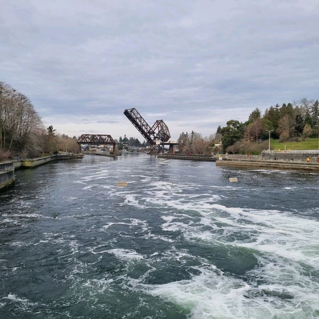 The Famous Ballard Locks, Seattle