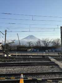 東京富士山靚景