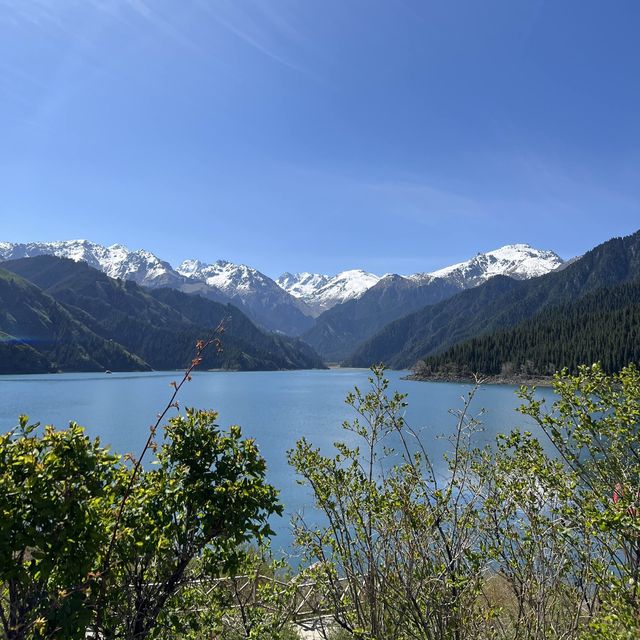 新疆天山天池🏞中國小瑞士🌲