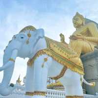 วัดหนองพงนก กำแพงแสน