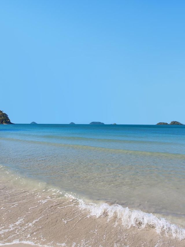 DEWA Kohchang