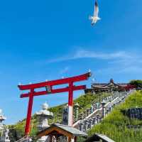 【青森県/蕪島神社】4万羽のうみねこと遭遇できる神社