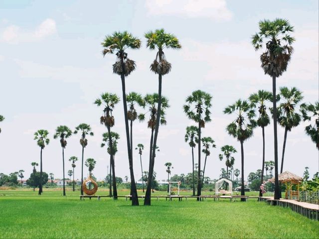 The Aileen Cafe | คาเฟ่ต้นตาลฟีล On the Beach🌴