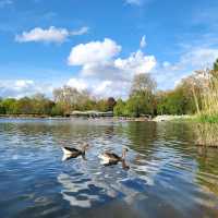 Hidden Gem in London - Hyde Park