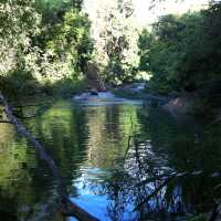 Khao Sok National park 自然生態遊記