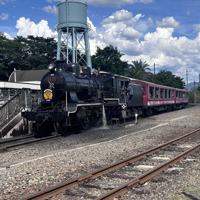 train loads of fun for the family 