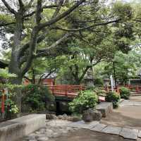 Amazing place to visit 