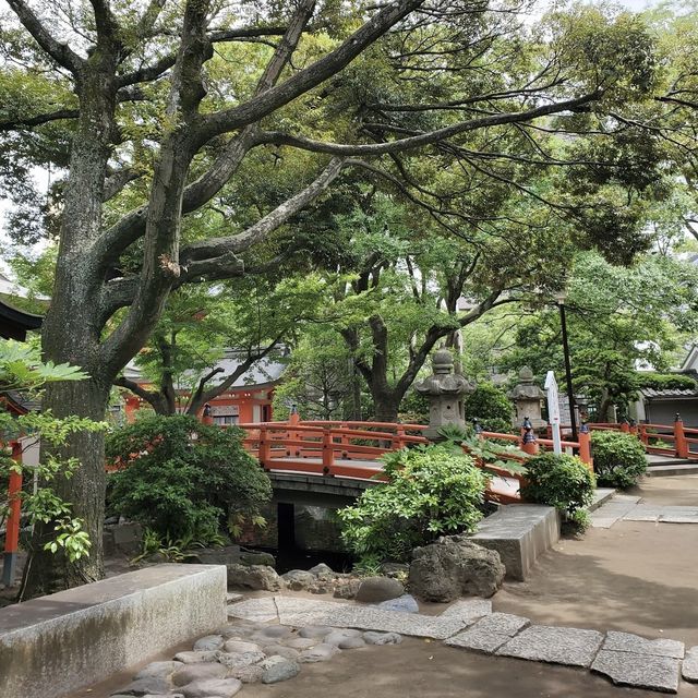 Amazing place to visit 