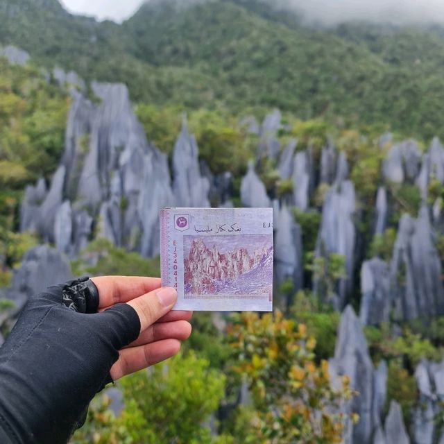 Toughest Climb - Mulu Pinnacles