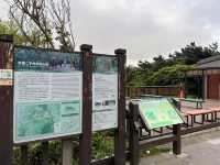 陽明山二子坪步道，非常簡單容易完成，適合親子來散步觀賞生態