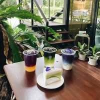 บ้านมังคุด Bann Munkud cafe  