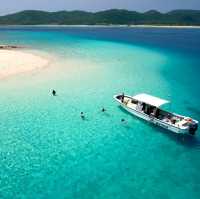 【沖縄 座間味島】ケラマブルーの海でシュノーケリング🌊🌺