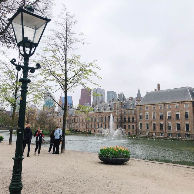荷蘭🇳🇱海牙The Hague (Den Haag)🚶🏻‍♀️🚶🏿🚶🏻‍♂️ Hofvijver 散步看風景