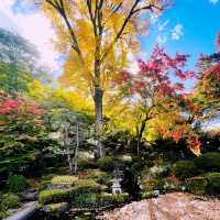 【長野県/美しい紅葉🍁と庭園を縁側から眺められるお寺】