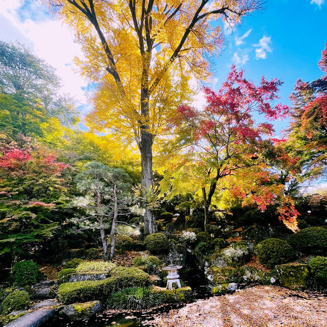 【長野県/美しい紅葉🍁と庭園を縁側から眺められるお寺】