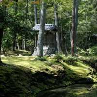苔寺🕉充滿意境的「西芳寺」