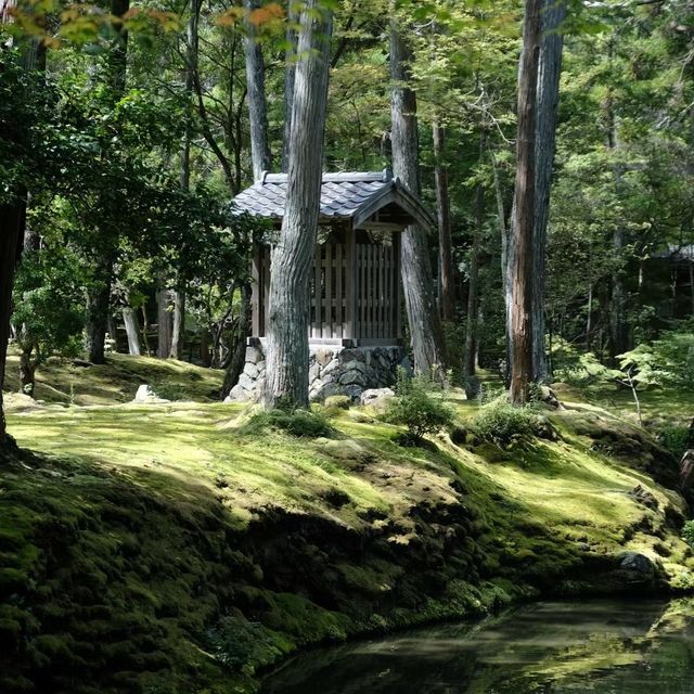 苔寺🕉充滿意境的「西芳寺」
