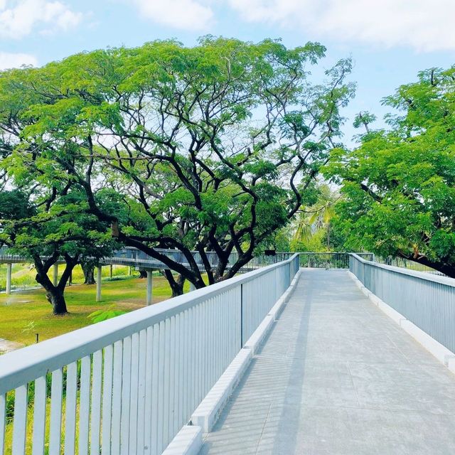 วิธีเดินทางไปสวนเบญจกิติทางรถไฟใต้ดิน