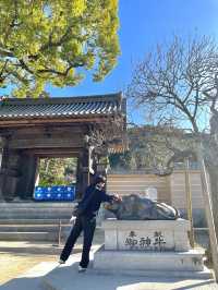 신사에서 여유로움 느껴보기 "다자이후 텐만구"⛩