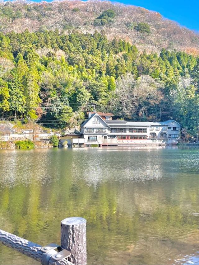 유후인에서 여유롭게 물멍 "긴린코 호수"🌳