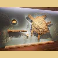 雪梨博物館Museum of Sydney