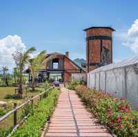 โรงนา คาเฟ่ ทุ่งนา กลางเกาะ