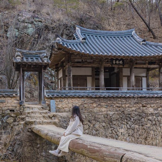 ❄️더 특별한 겨울모습의 안동을 만날 수 있는곳 [안동, 만휴정] ❄️