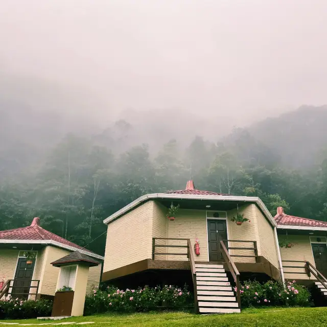 【五星度假小木屋｜馬來西亞神山公園 】Hill Lodge
