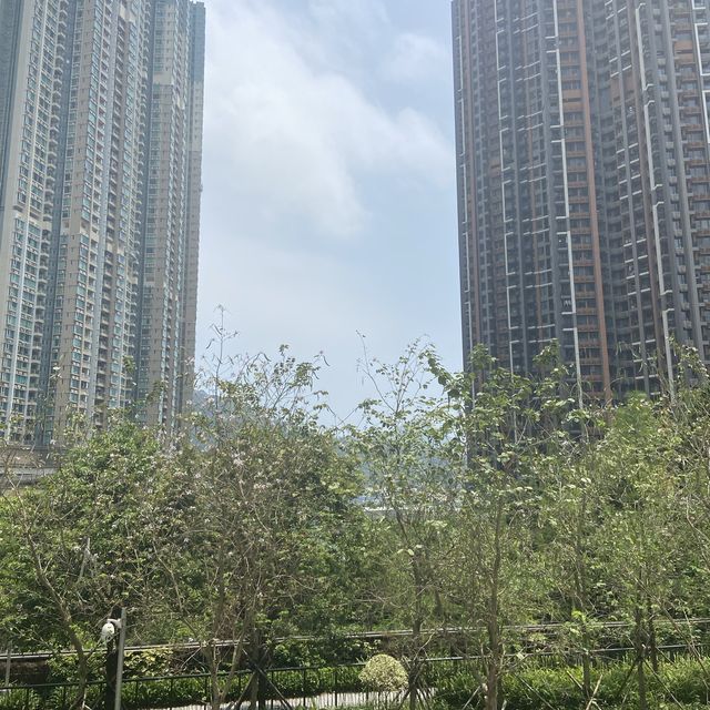 佳餚，美饌！康城！京滬！