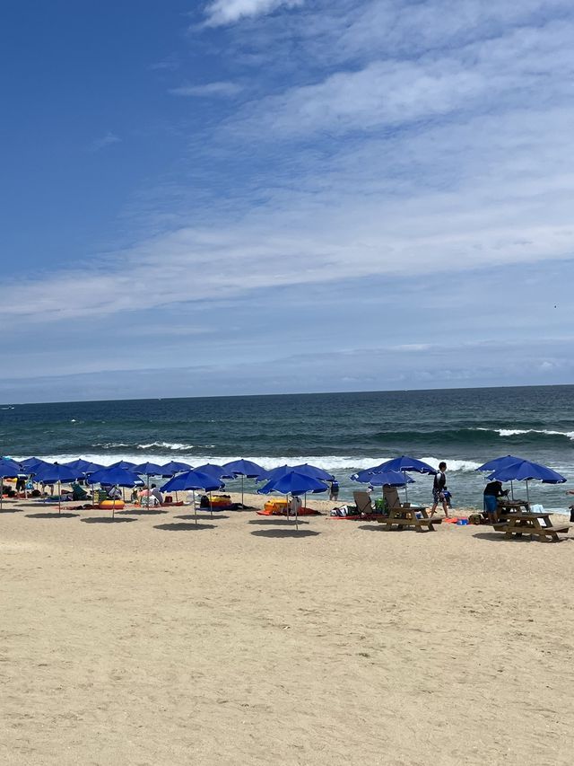 역시 바다는 강릉 송정해수욕장🌊💙