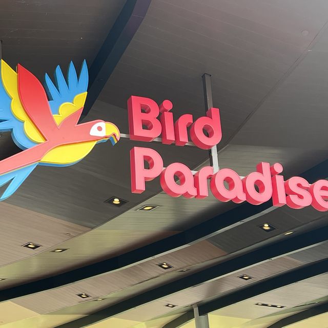 Bird Paradise @ SG