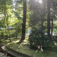 【京都】静寂の小宇宙　龍安寺