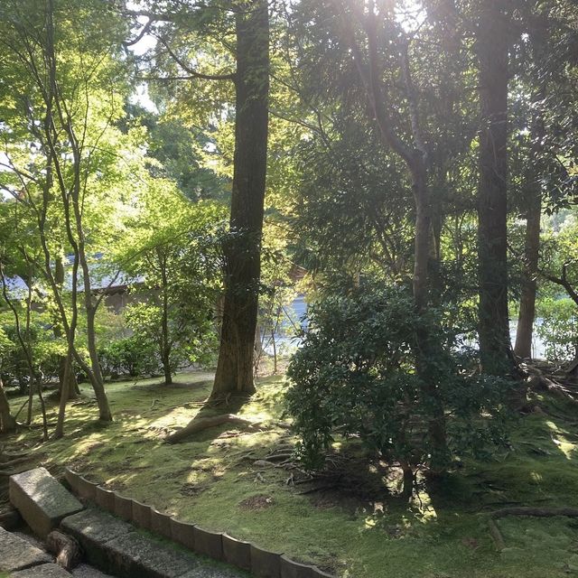 【京都】静寂の小宇宙　龍安寺