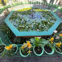 La Trinidad’s Famous Taoist Temple
