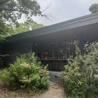 【大阪・南千里】公園内にあるオシャレカフェ